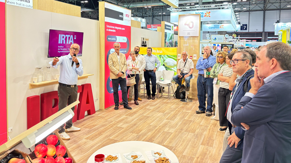 El IRTA presenta DIVINA en Fruit Attraction una nueva variedad de almendro con un alto contenido en fibra, grasa y ácido oleico.png